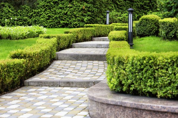 Backyard Remodeling in Westfield