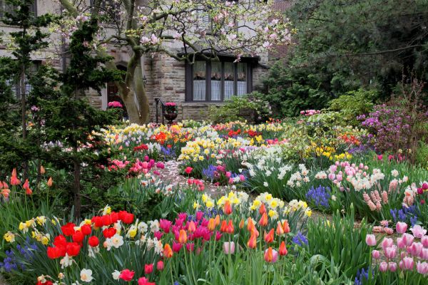 Garden Maintenance Service in Westfield