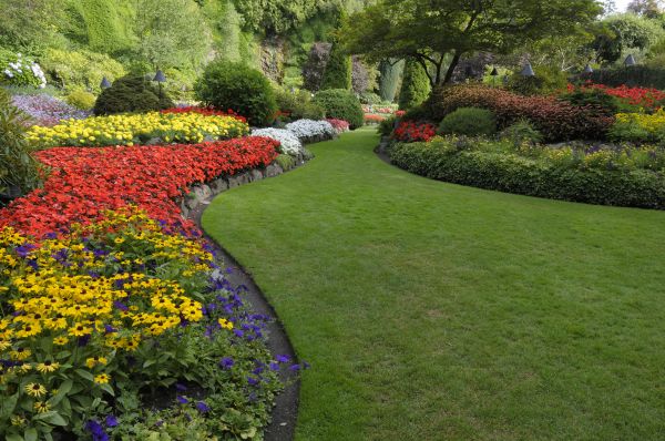 Landscaping Maintenance in Westfield