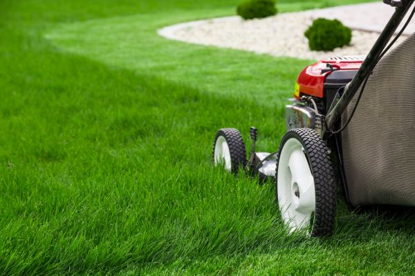 Lawn And Garden Maintenance