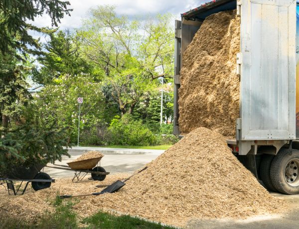 Wood Chips Delivery in Westfield