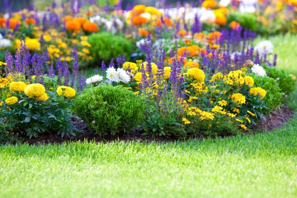 Garden Installation in Westfield