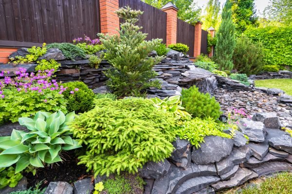 Landscape Remodeling in Westfield