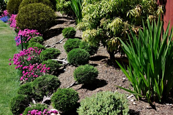 Residential Gardening in Westfield