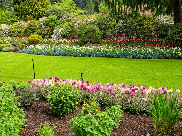 Residential Landscape Design in Westfield