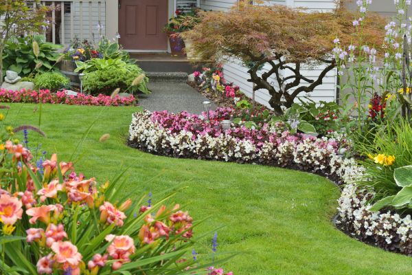 Perennial Landscaping in Westfield