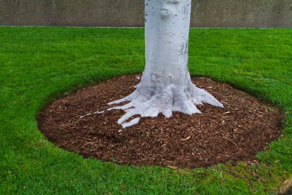 Brown Mulch Installation in Westfield