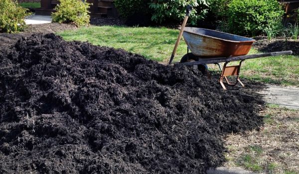 Black Mulch Installation in Westfield