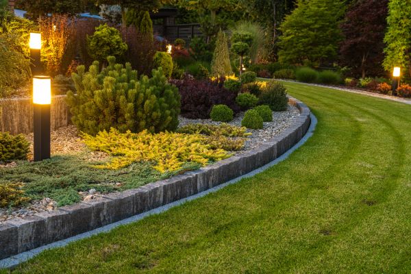 Garden Repair Service in Westfield