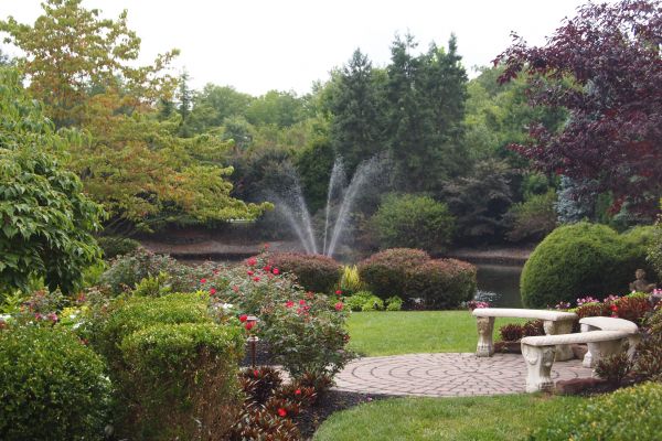 Courtyard Design Service in Westfield