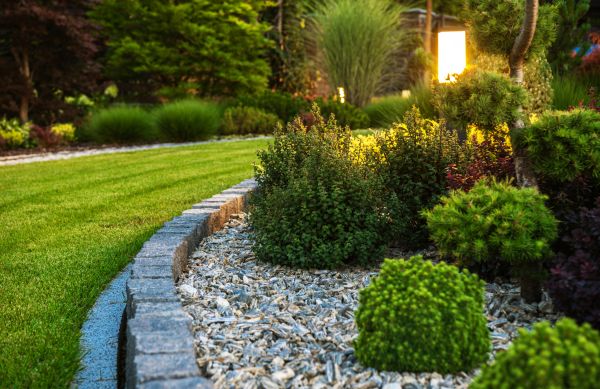Landscaping Service in Westfield