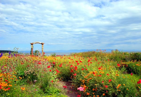 Coastal Garden Design