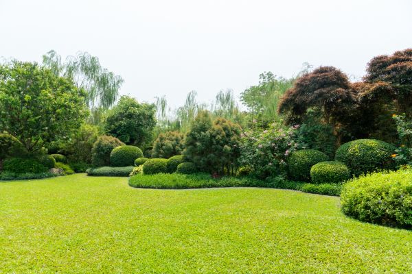 Tree Landscaping in Westfield
