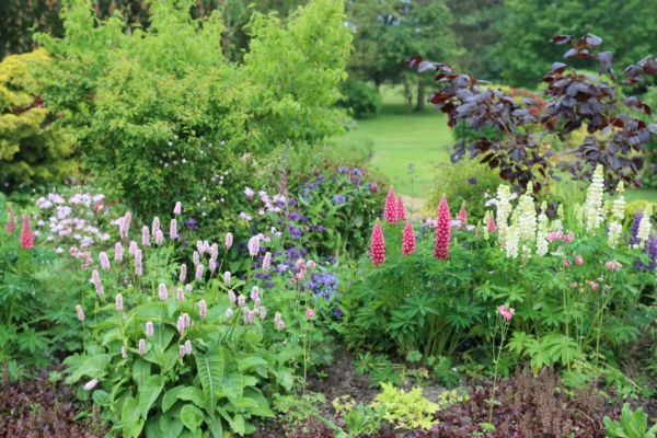 Flower Bed Planting in Westfield