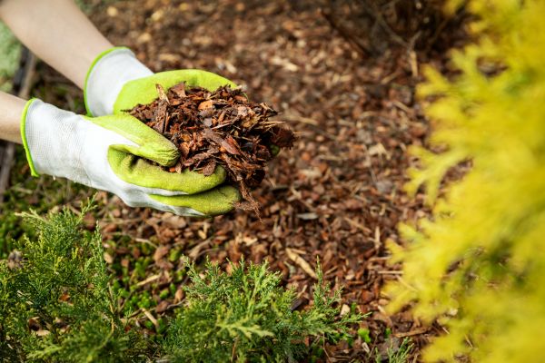 Garden Mulch Delivery in Westfield