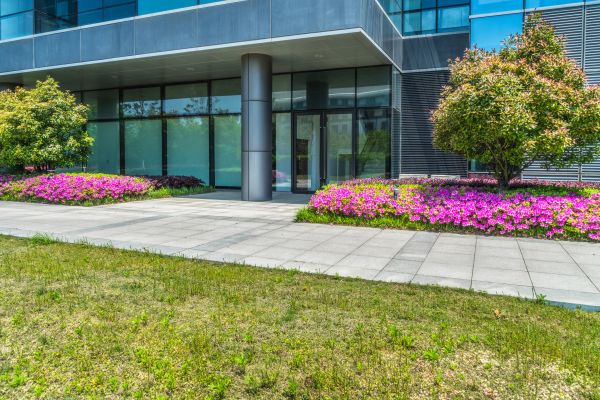 Commercial Gardening in Westfield