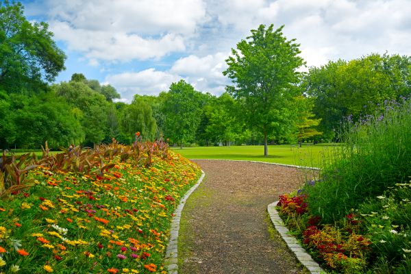 Park Landscaping in Westfield