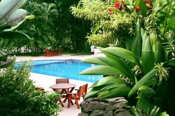 Tropical Garden Landscaping in Westfield
