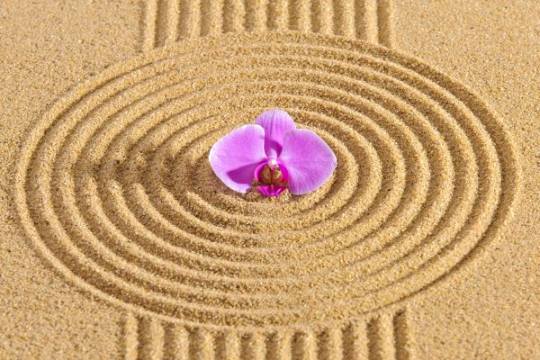 Sand Garden Landscaping in Westfield