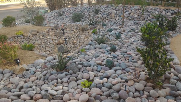 Yard Xeriscaping in Westfield