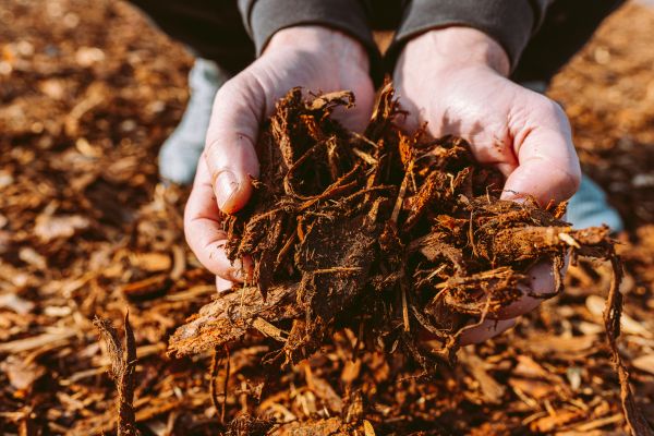 Bark Chips Delivery in Westfield