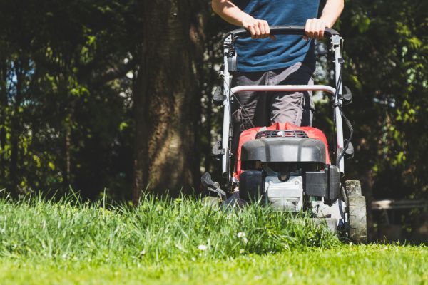 Garden Trimming Service in Westfield