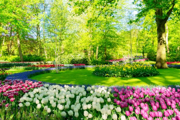 Flower Landscaping in Westfield