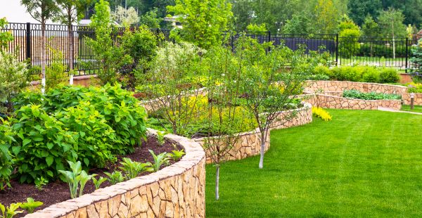 Yard Makeover Service in Westfield