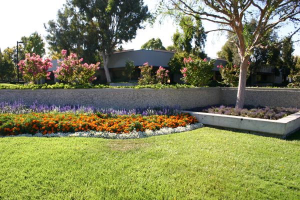 Commercial Landscape Service in Westfield