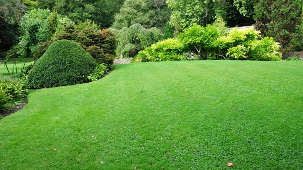 Commercial Landscape Design in Westfield