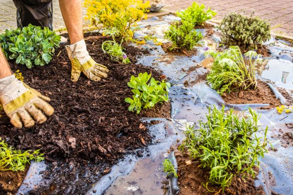 Mulch Fabric Installation in Westfield