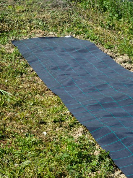 Weed Suppressant Installation in Westfield