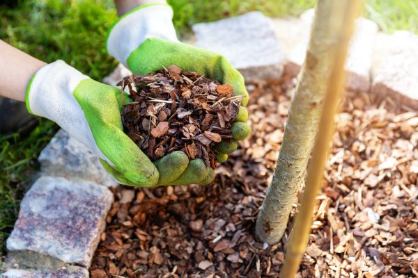 Tree Bark Delivery in Westfield