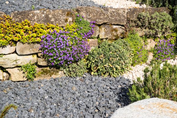Landscaping Rocks Installation in Westfield