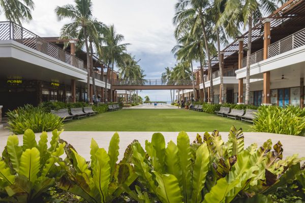 Commercial Lawn Renovation in Westfield