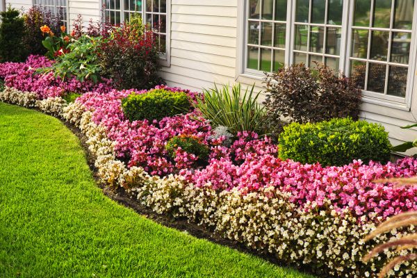 Garden Landscape Design in Westfield