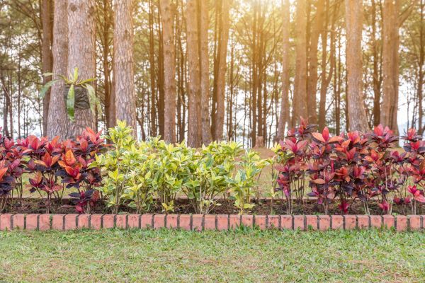 Small Garden Landscaping in Westfield