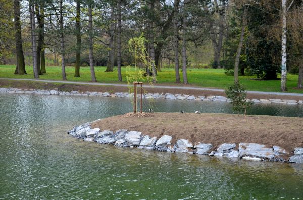 Pond Landscaping Service in Westfield