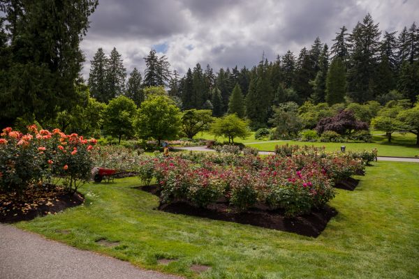 Flower Garden Landscaping in Westfield