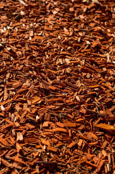 Cedar Mulch Spreading in Westfield