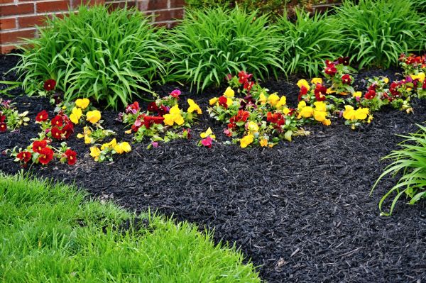 Apartment Mulching in Westfield